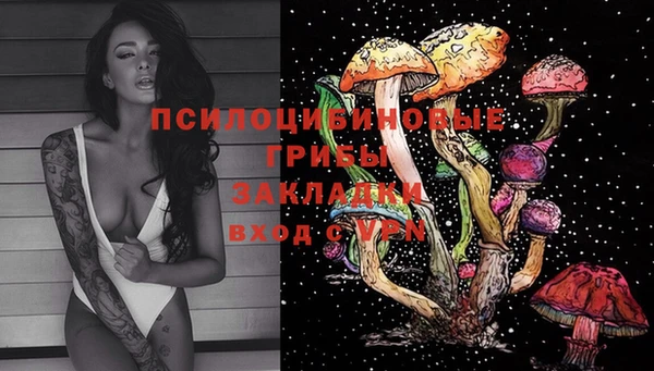 хмурый Алексеевка