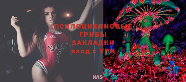 мяу мяу мука Алексин